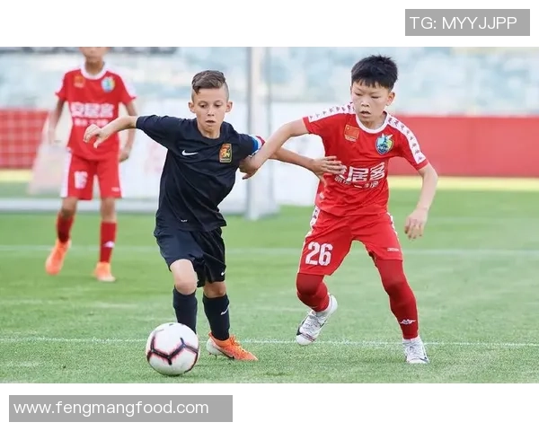 加克波的崛起之路:从青涩小将到足球场上的闪耀明星 加克波的崛起之路:从青涩小将到足球场上的闪耀明星