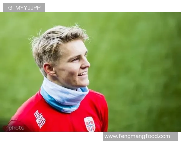 厄德高引领新潮流足球战术变革的背后故事与未来展望