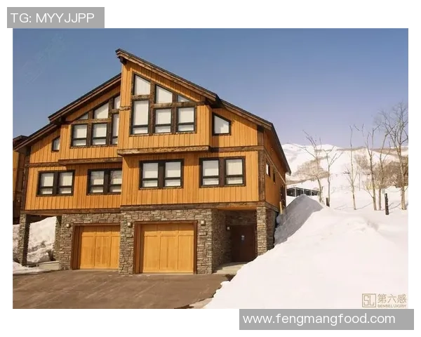 北海道与B岩的激烈对决谁能笑到最后精彩赛事回顾与分析 北海道与B岩的激烈对决谁能笑到最后精彩赛事回顾与分析