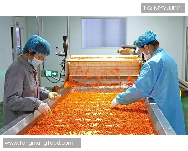 奶茶兄弟与豆浆爸爸的美味对决谁才是饮品界的王者 奶茶兄弟与豆浆爸爸的美味对决谁才是饮品界的王者