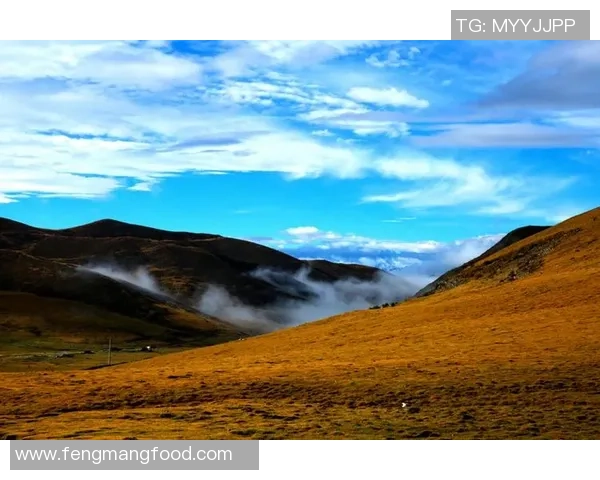 焦泊乔的成长之路与人生哲学探寻:从平凡到卓越的心灵旅程 焦泊乔的成长之路与人生哲学探寻:从平凡到卓越的心灵旅程
