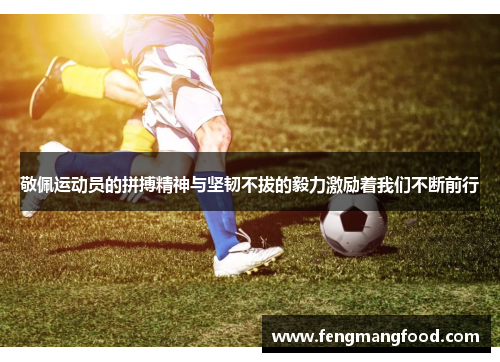 敬佩运动员的拼搏精神与坚韧不拔的毅力激励着我们不断前行