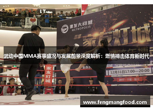 武动中国MMA赛事盛况与发展前景深度解析：燃情搏击体育新时代