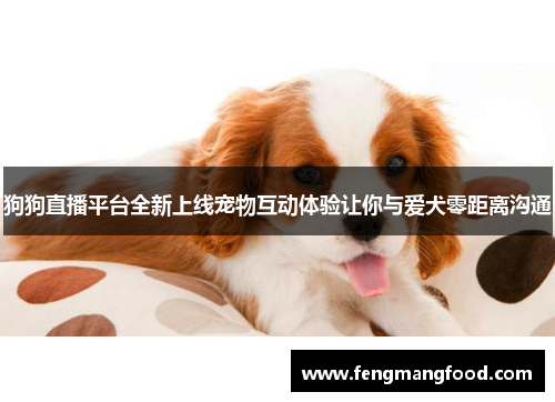 狗狗直播平台全新上线宠物互动体验让你与爱犬零距离沟通