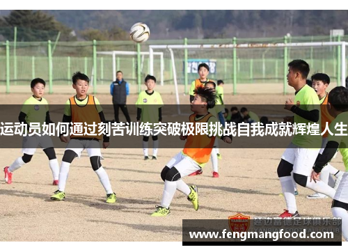 运动员如何通过刻苦训练突破极限挑战自我成就辉煌人生