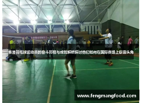 香港羽毛球运动员的奋斗历程与成就解析探讨他们如何在国际赛场上崭露头角