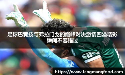 足球巴竞技与弗拉门戈的巅峰对决激情四溢精彩瞬间不容错过